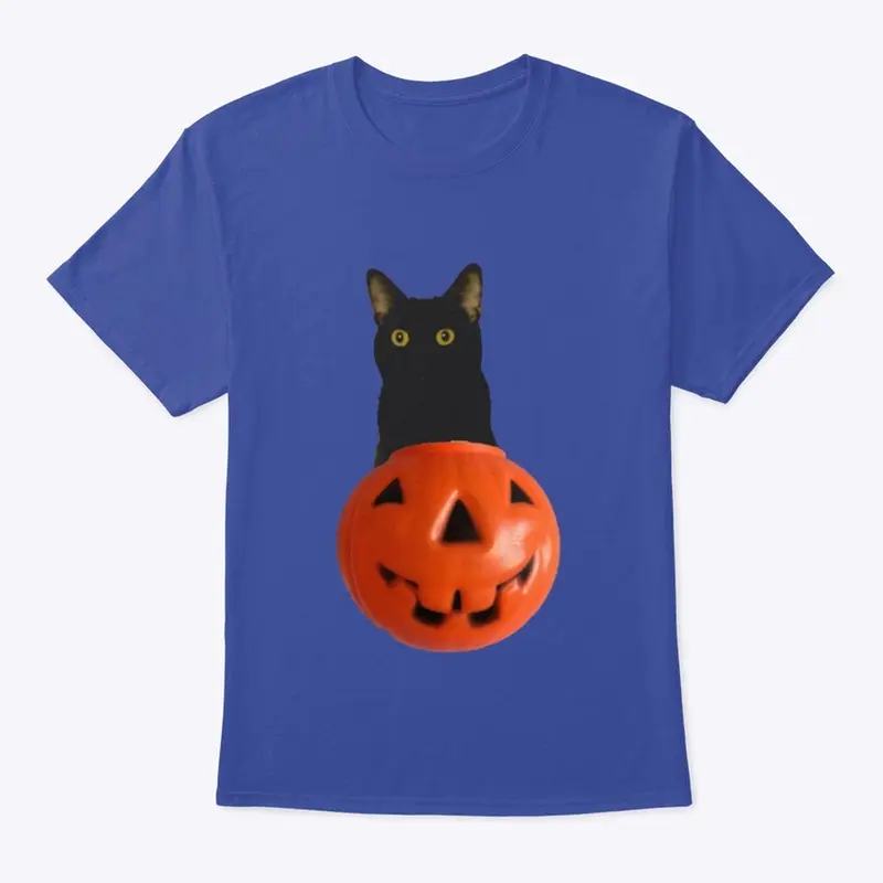 Halloween Black Cat