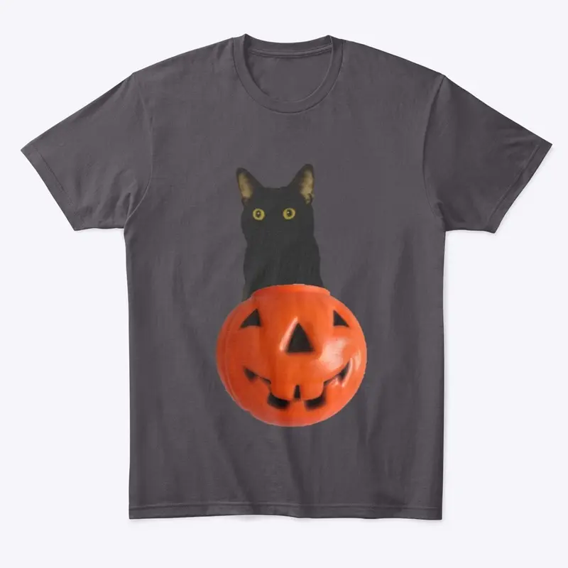 Halloween Black Cat